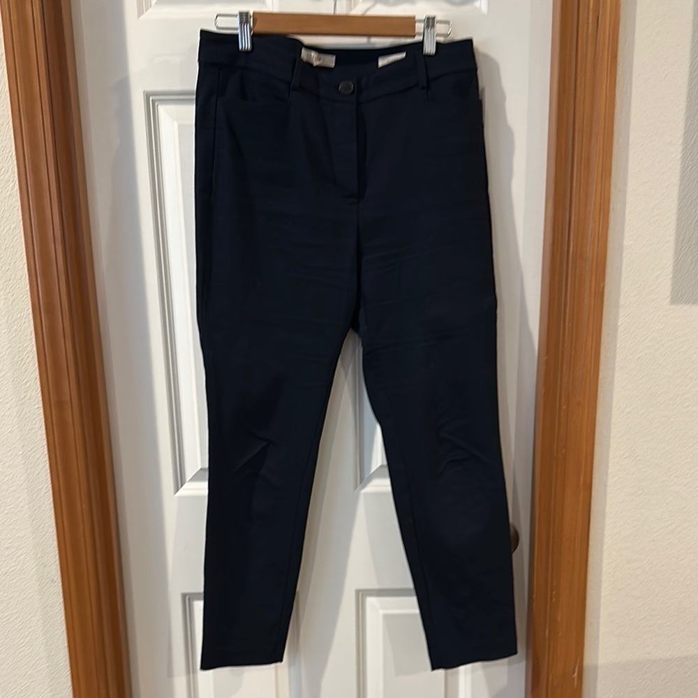 LOFT Navy Blue the skinny Pants